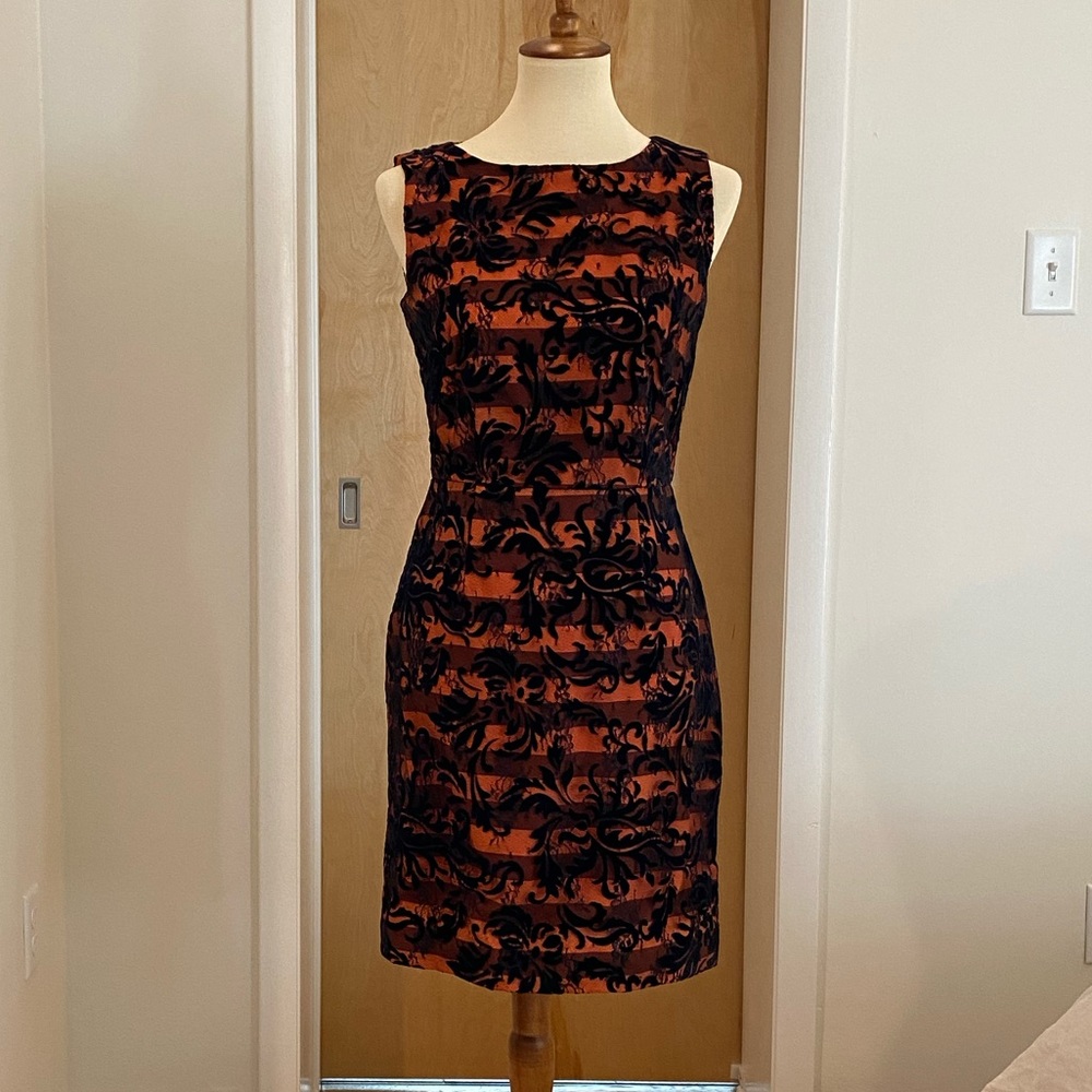 Cremieux Navy & Orange Lace Cocktail Dress
